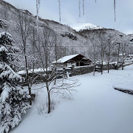 Vikendice Biocinovici Villa Kolašin Buitenkant foto
