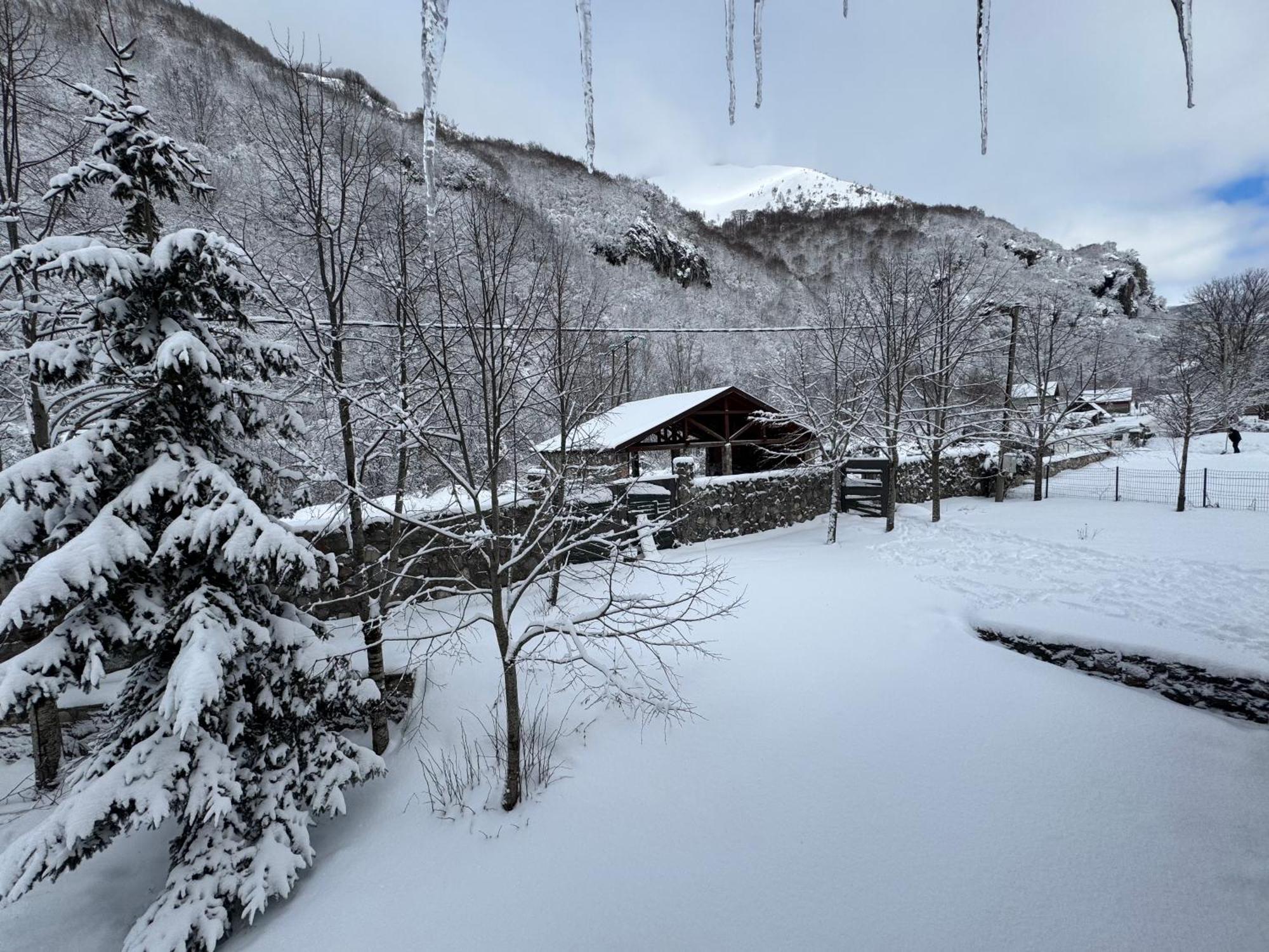 Vikendice Biocinovici Villa Kolašin Buitenkant foto